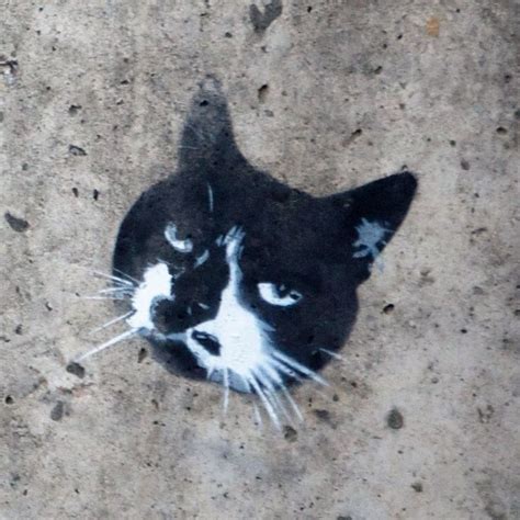 Pin By Stasia On Graffiti Street Art Graffiti Cats