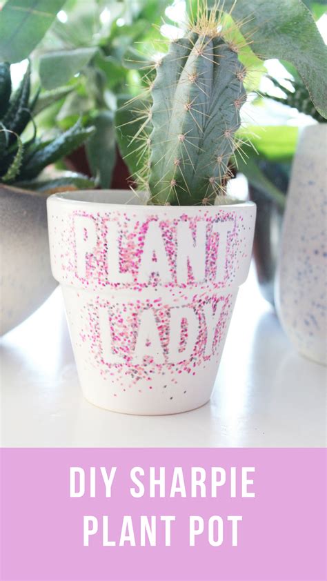 Decorate A Plant Pot With Sharpies Easy Diy Idea For Plant Ladies