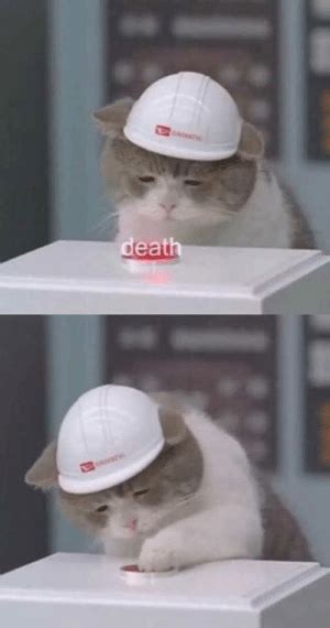 Sad Cat Button Blank Template Imgflip