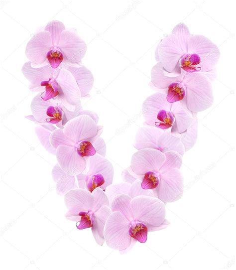 Letter V From Orchid Flowers — Stock Photo © Coffeemill 71976245