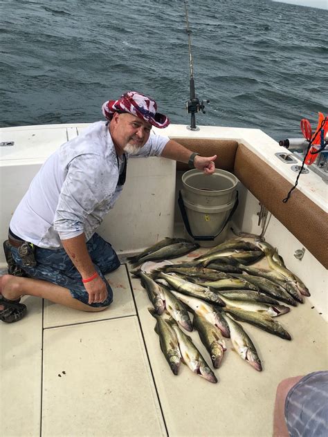 Western Lake Erie fishing report. - Page 99 - The Hull Truth - Boating