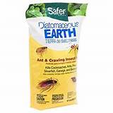 Pictures of Diatomaceous Earth For Bug Control