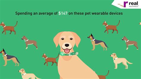 Insurance expense is the amount that a company pays to get an insurance contract and any additional premium payments. The Real Insurance Pet Survey - Pet Expenses - YouTube