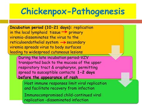 Ppt Common Viral Exanthemas Measles Chickenpox And Rubella