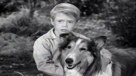 Lassie Lassies Decision Full Episodes Old Cartoons Videos For
