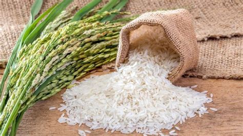India To Get Exclusive Rights To Sell Basmati Rice In European Union
