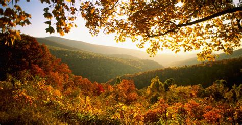 Autumn In Shenandoah National Park 2 Virginia Pictures Virginia