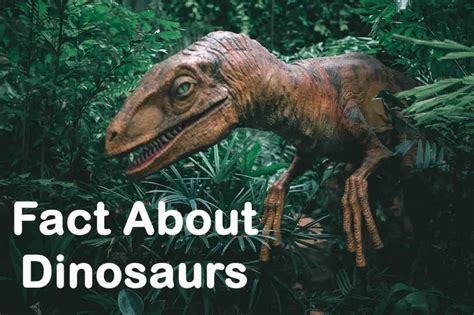 Interesting Facts About Dinosaurs Learn More About Dinosaurs