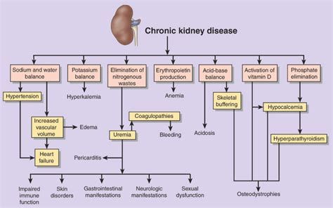 Anemia of chronic disease and renal failure. Opinions on Chronic kidney disease