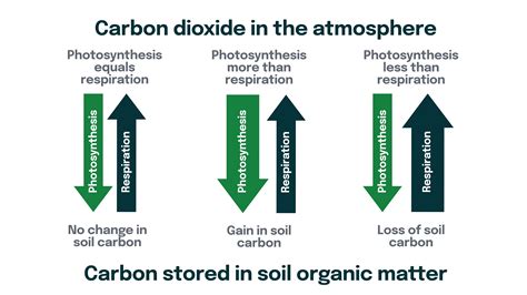 The Science Of Soil Carbon New Zealand Agricultural Greenhouse Gas