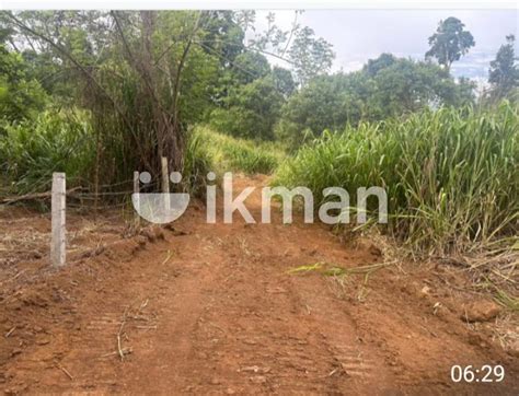 Kandy Land For Sale Ikman