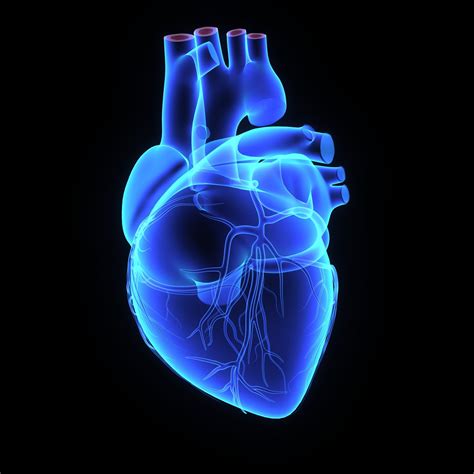 Symptoms typically include sudden onset of sharp chest pain, which may also be felt in the shoulders, neck. O que é Pericardite e porque acontece?