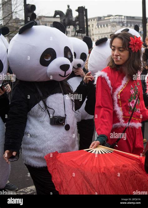 Lady In Red Costume Next To People Dressed As Pandas Chinese New Year Celebration Parade