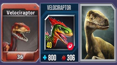 Velociraptor Jurassic World The Game Vs Jurassic World Alive Vs Jurassic Park Builder Youtube