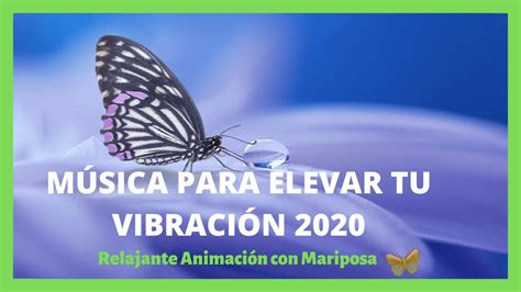 Musica Efecto Mariposa Relajante Animación Con Mariposa 2020mÚsica