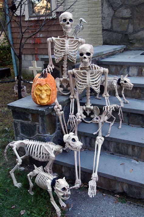 Your score has been saved for them bones, them bones, them funny bones. The "Bones" family poses for a family photo on our front ...