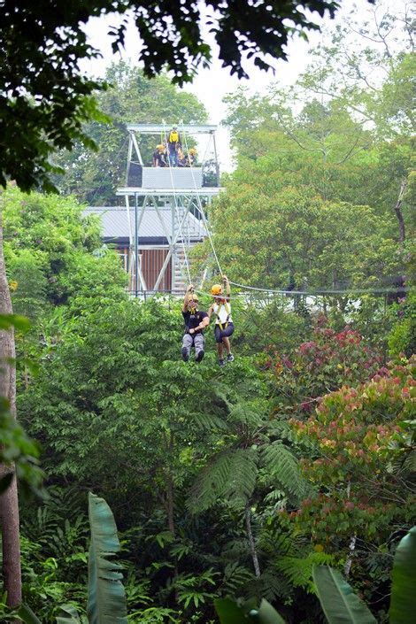 It aims to promote environmental and conservation awareness amongst visitors through its nature trail, canopy walkways and zip lines. Langur Way Canopy Walk | The Habitat Penang Hill