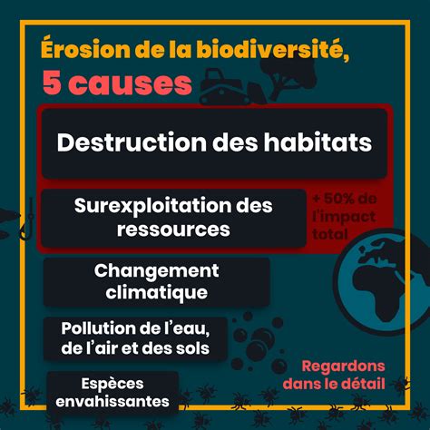 Les 5 Causes Du Déclin De La Biodiversité Liglou
