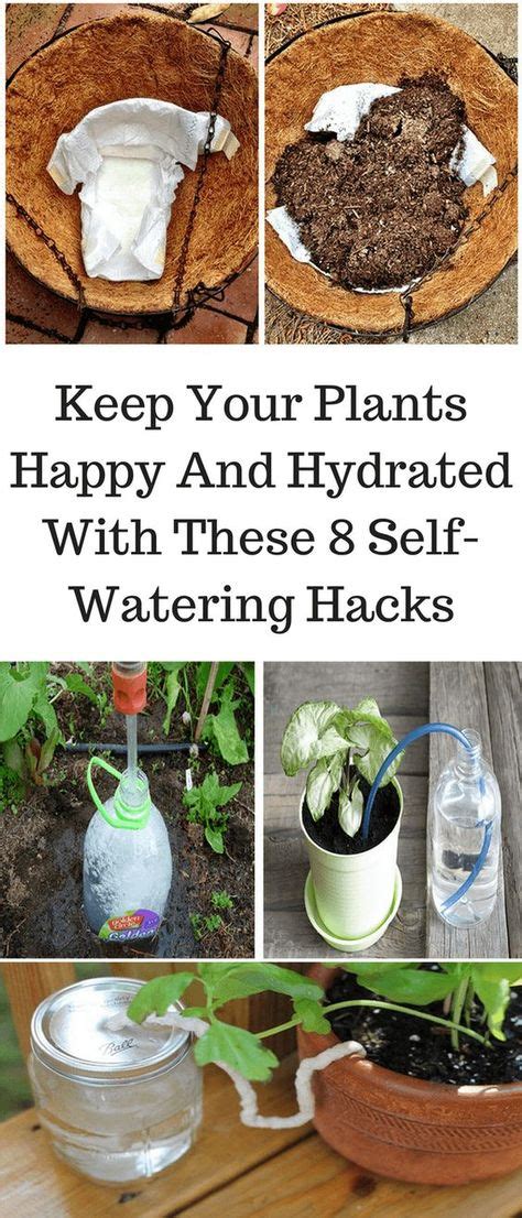 How To Water Plants While Youre Away Plants Water Plants Indoor Garden