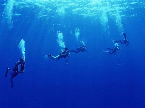 去深海靜一靜，泰國考潛水證全攻略 每日頭條
