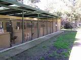 Dog Kennels For Boarding Facilities Images