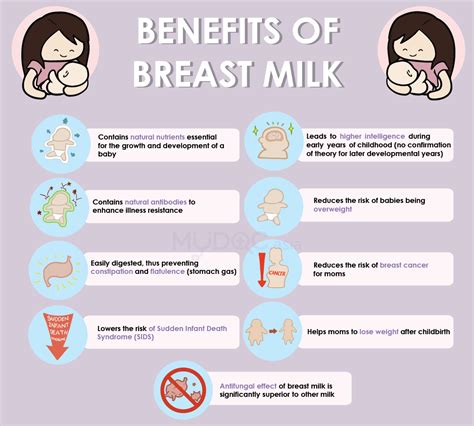 Breastfeeding Or Formula Milk Erufu Care