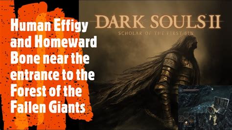 Dark Souls 2 [Human Effigy and Homeward Bone near the entrance to the