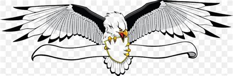 Bald Eagle Banner Clip Art Png 1000x327px Bald Eagle Banner Beak