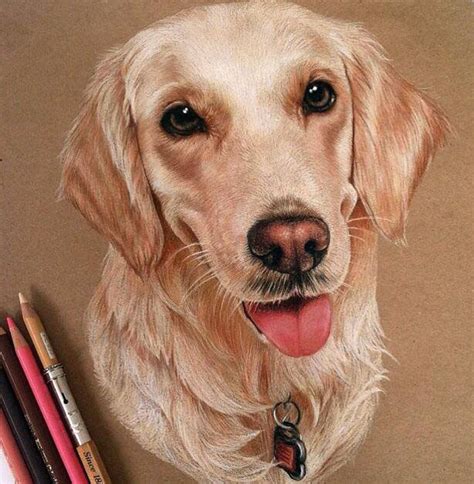 Colored Pencil Dog