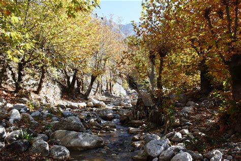 Helkıs Dağları nda hazan mevsimi Anadolu Ajansı