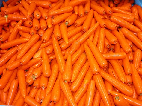 Carrot Exports From Western Australia Agriculture And Food