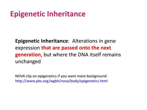 Ppt The Role Of Epigenetic Inheritance Powerpoint Presentation Free
