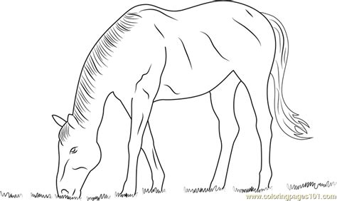 horse eating grass coloring page  horse coloring pages coloringpagescom