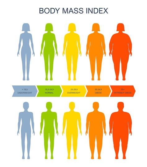 Body Mass Index Diagramm Bmi Der Skala Von Mann Und Frau Vektor The