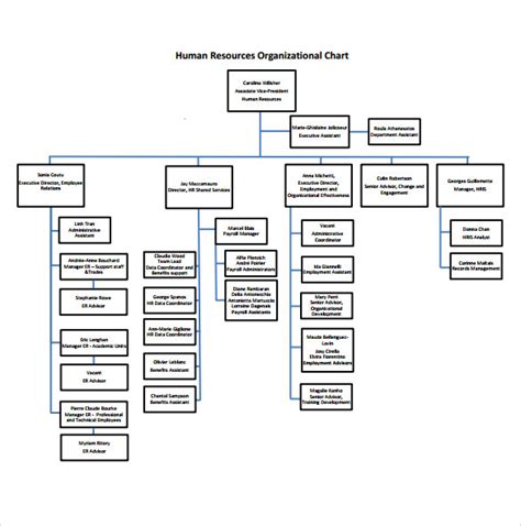 Hr Organizational Chart Template
