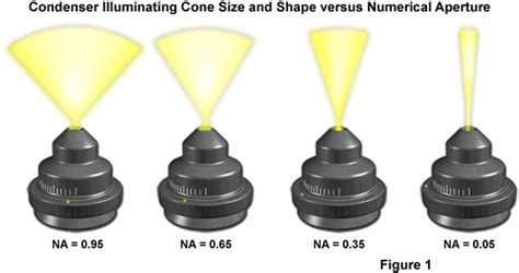 New Numerical Aperture In Microscope Numeric