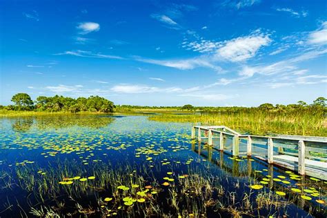 Top 8 Sights In And Around Miami Beach Everglades And Florida Keys