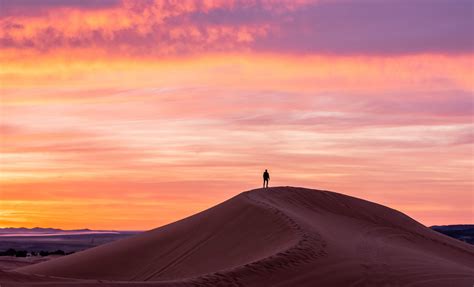Wallpaper Lonely Loneliness Silhouette Desert Hd