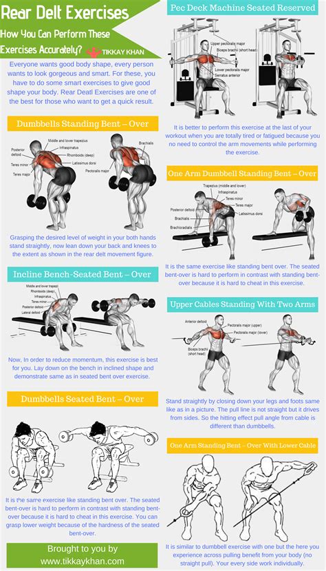 Rear Dealt Exercises How You Can Peform These Exercises Accurately