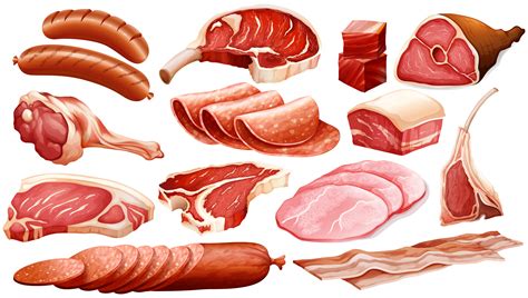Chicken is a major worldwide source of meat and eggs for human. Different types of meat products 297820 Vector Art at Vecteezy