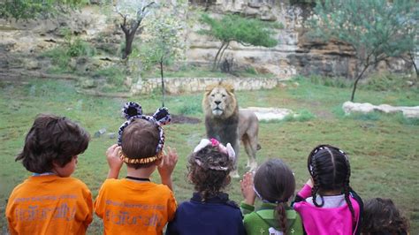 Go to the San Antonio Zoo for half price Thursday