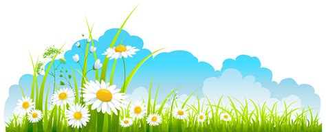 The Grass And Daisies Are In Front Of Blue Sky With White Clouds On It