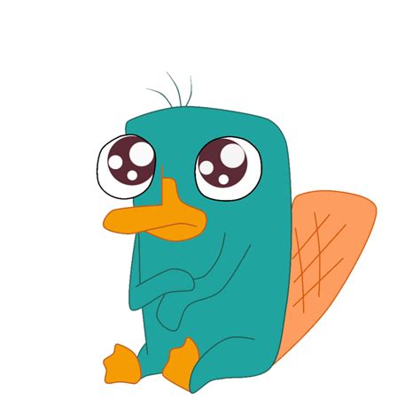 Baby Perry The Platypus Wallpapers Wallpaper Cave