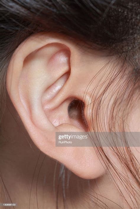 Ear Of Young Womancloseup High Res Stock Photo Getty Images