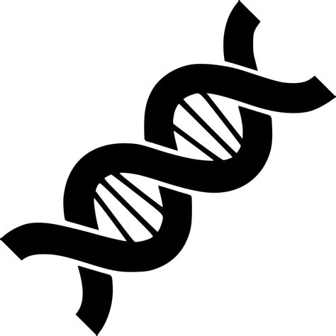Clip Free Stock Biology Structure Chain Helix Genetics Png