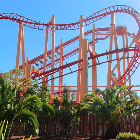 If you were born on this day, the may 1st birthday meanings suggest that you are persistent and full of life. Roller Coaster Birthdays! | Welcome to May! Today, May 1st ...