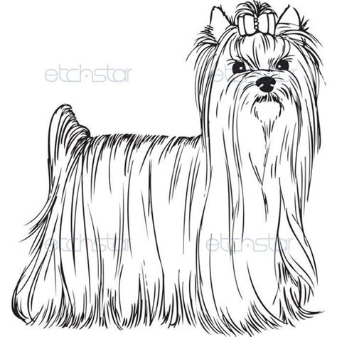 Download and print these yorkie coloring pages for free. Coloring, Yorkie and Coloring pages on Pinterest