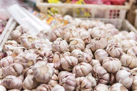 Nov 28, 2018 · after that, the plant takes 10 to 15 years to grow large enough to fruit, which it only does in suitable growing conditions. How long does it take to grow garlic