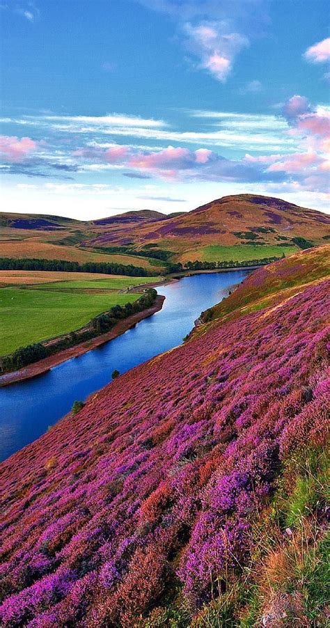 The Green Valley River Mountains In The Pentland Hills Of Scotland