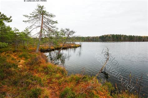 Boîte à outils multifonctionnelle qui apporte infos, réseaux et appui technique aux acteurs de natura 2000. Kuva: Iso-Tiilijärven rantaa - Soisalmensuo Tiirismaan ...